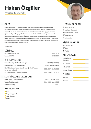 Yazılım Mühendisi Cv Örnekleri cv indir